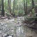 ���� ���� ������, ����� �������, 56 ��� - ��������� 9 �������� 2017 � ������ ������� 2017�