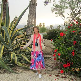 ���� 2017 ���