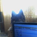 ���� Olga, ������, 50 ��� - ��������� 17 ������ 2017 � ������ ���� ����������