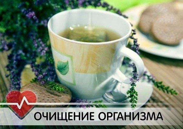 Зашлакованность организма! Что делать? Наш организм имеет пять фильтрующих органов: кишечник, ...