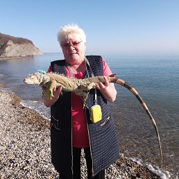 ������, ���������, 66 ���