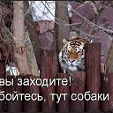 ���� �����, �����������, 56 ��� - ��������� 30 �������� 2017 � ������ ���� ����������