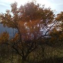 ���� ����, ������ - ��������� 16 ������ 2017 � ������ ���� �����