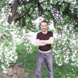 ���� �������, �����-��������, 54 ���� - ��������� 18 ���� 2017