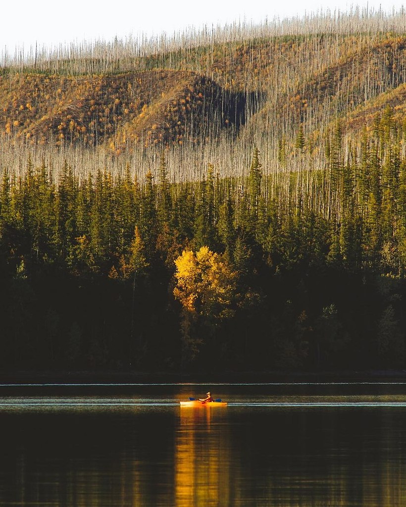Glacier National Park, Montana, USA - 4
