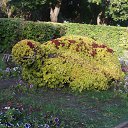 ���� �����, ���������, 51 ��� - ��������� 16 �������� 2017 � ������ �������� �������..�