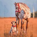 ���� ������, ������ - ��������� 31 ������� 2017 � ������ �������