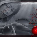 ���� �������, ������, 46 ��� - ��������� 17 ���� 2017 � ������ ���� ����������