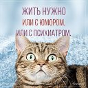 ���� �����, ������, 47 ��� - ��������� 5 ������ 2017 � ������ ������ ��������