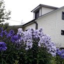 ���� �����, �����������, 62 ���� - ��������� 30 ���� 2017 � ������ ���� ������