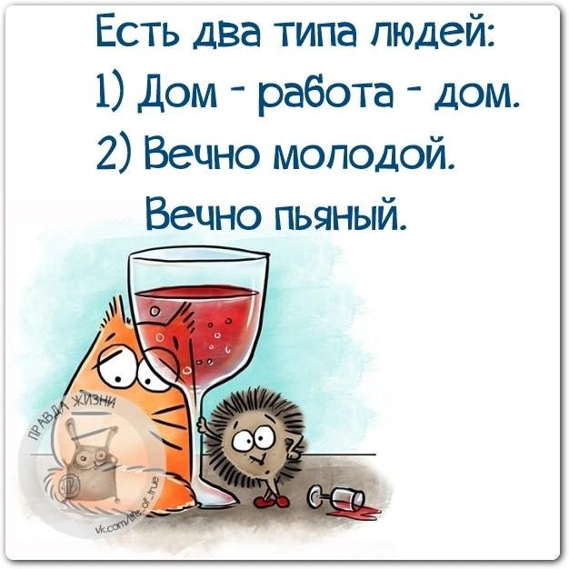 ������ ����� - 12 ������� 2017 � 22:49