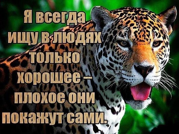 ������ �������� &copy; - 1 ������� 2017 � 16:35