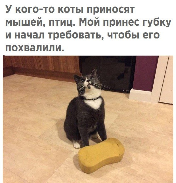 ������� - 15 ������ 2017 � 03:53