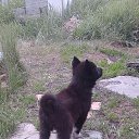 ���� �������, ����������� - ��������� 5 ���� 2017 � ������ ������� ��.�