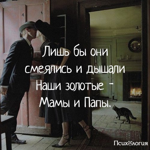  - 29  2017  14:58