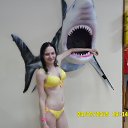  , -, 37  -  14  2017    