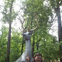 ���� �����, ������, 34 ���� - ��������� 8 ���� 2017