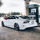 ���� �����, �����-���������, 42 ���� - ��������� 11 ���� 2017 � ������ ���� ����������