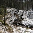 ���� ���������, ���������� - ��������� 24 ������ 2017 � ������ �23-04-17�