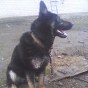  Uyri, , 67  -  23  2017    