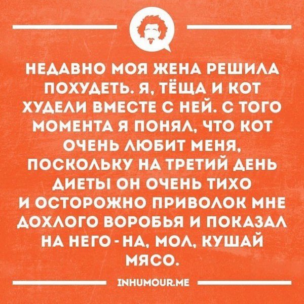 ���������������� ���� - 16 ��� 2017 � 12:13