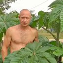 ���� ������, �������, 52 ���� - ��������� 6 ��� 2017 � ������ ���� ����������