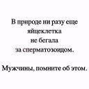 ���� �������, �������� - ��������� 9 ���� 2017 � ������ ������ ��������