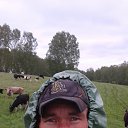 ���� �������, �����, 43 ���� - ��������� 31 ��� 2017 � ������ ���� ����������