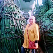 �����, 65 ���, �����-���������