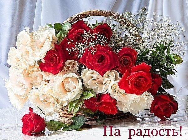 Вся наша жизнь- сплошной прогноз погоды... То солнечно, то пасмурно опять- Наверно, так задумала ...
