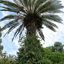 ���� Raisa, ��������� - ��������� 12 ������ 2017 � ������ ���� ����������