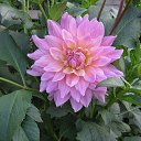 ���� �������, �����, 60 ��� - ��������� 17 ������� 2017 � ������ ���� �����