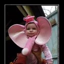 ���� ��, ������, 54 ���� - ��������� 14 ���� 2017 � ������ ���� ����������