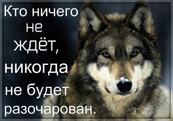 Не звонят, не пишут, не интересуются — значит не нуждаются. Все просто и придумывать тут нечего. - 2