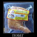 ���� �������, ������ - ��������� 22 ������ 2017 � ������ �������ۻ