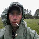 ���� �������, �����, 43 ���� - ��������� 31 ��� 2017 � ������ ���� ����������