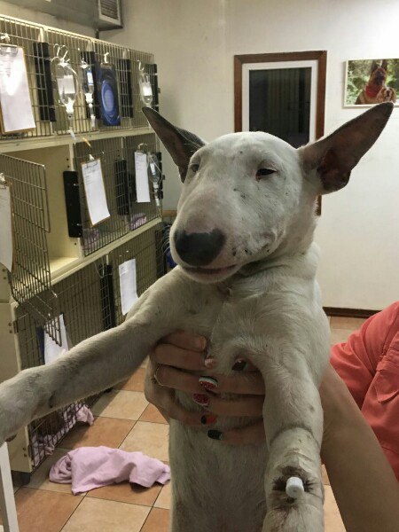  !     ? https://vk.com/wall-138557_297561  -    ...