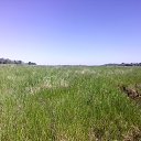 ���� �������, �������, 47 ��� - ��������� 28 ��� 2017 � ������ ���� ����������