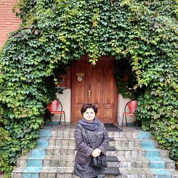 �������, ������, 54 ����