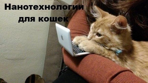 ��� �������� �������� - 26 ��� 2017 � 14:12