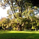 ���� ����, �����-���������, 71 ��� - ��������� 25 �������� 2017 � ������ ������ ��������