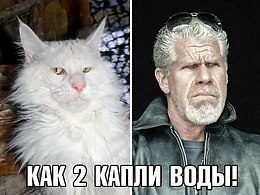 Comedy Club - 31  2017  20:40