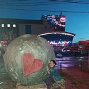 ���� �����, �����, 42 ���� - ��������� 26 ���� 2017 � ������ ���� ����������