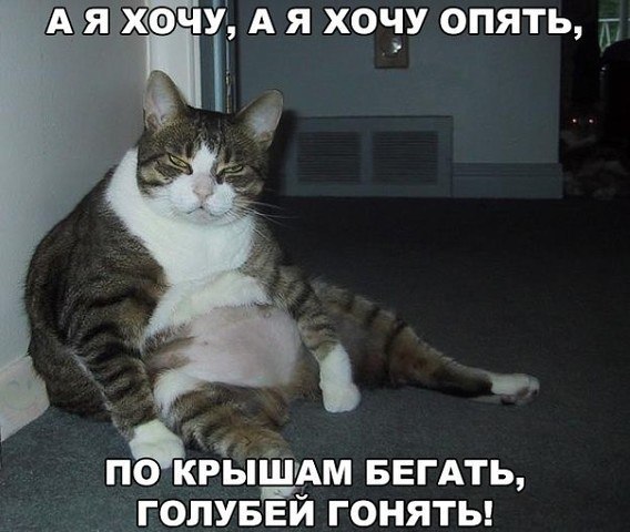 ☆ ☆ - 18  2017  09:11