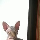 ���� �����, ������, 45 ��� - ��������� 25 ������� 2017 � ������ ������ ��������