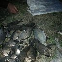 ���� �������, �������, 50 ��� - ��������� 10 ��� 2017 � ������ ���� ����������