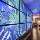 ���� ������, ������ - ��������� 26 ��� 2017 � ������ ���� ������