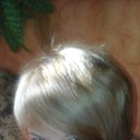 ���� ��������, ��������� - ��������� 26 ������ 2017 � ������ ���� ����������