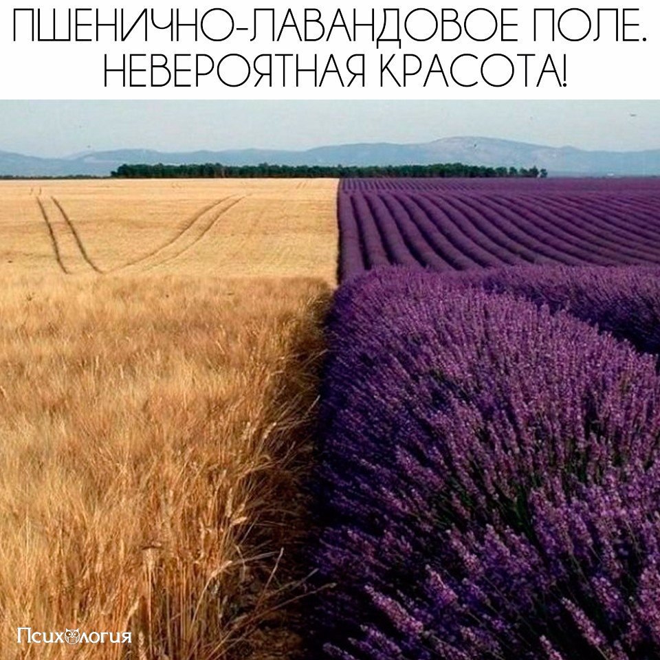  - 9  2017  11:27