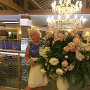 �� ������ 2017� �� ������� ���� ����������